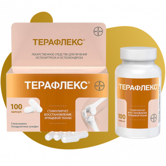 Терафлекс капс 500мг+400мг №100
